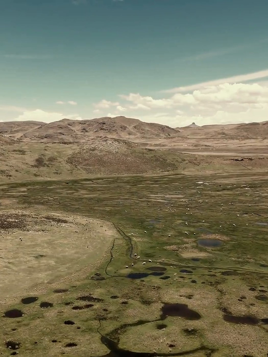 Aerial view of the high Andean puna, the terrain the monitoring system tracks